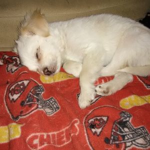 Meet your Posher, Kay